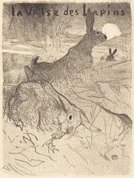 La valse des lapins