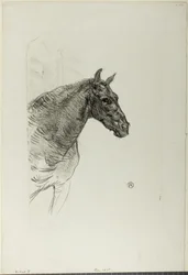 Philibert le poney