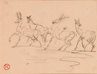 Cerfs et biches