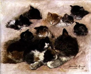 Étude de chats et chatons