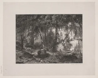 Danois : Intérieur de la forêt