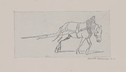 Un cheval tirant