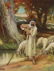 Un berger et son troupeau à Banias