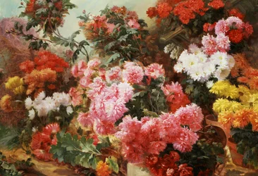 Chrysanthemes multicolores. Peinture de Henri-Arthur (Henri Arthur) Bonnefoy (1839-1917) Collection privee.