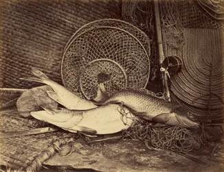 Nature morte à la carpe et au brochet