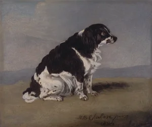 Le chien de la duchesse d