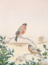 Scène d