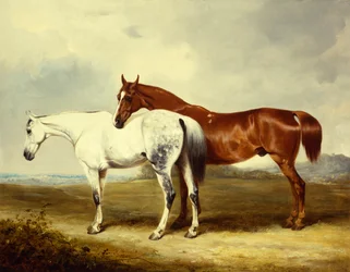 Chevaux d