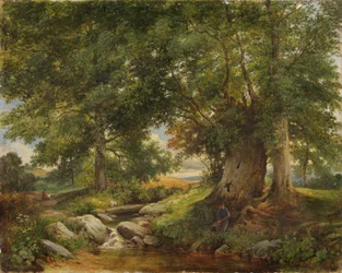 Un ruisseau à truites près de Worcester