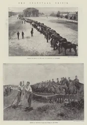 La crise du Transvaal