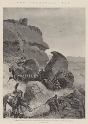 La guerre du Transvaal