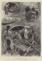 Avec les cueilleurs de houblon en détresse dans le Kent