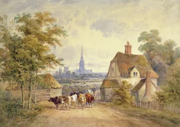 Cathédrale de Chichester, Sussex