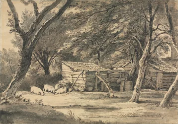 Ferme avec cochons fouillant
