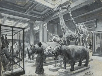 Vue intérieure du British Museum montrant la galerie contenant des expositions d