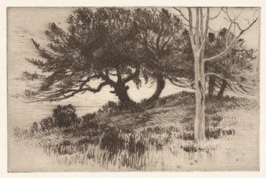 Près de la mer