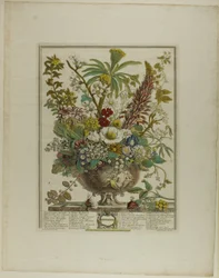 Décembre, des Douze Mois de Fleurs