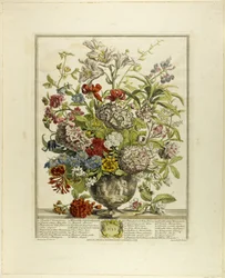 Juillet, tiré de Douze mois de fleurs