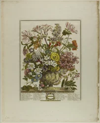 Octobre, des Douze Mois de Fleurs