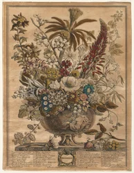 Les douze mois de fleurs : décembre, 1730