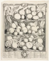 Douze mois de fruits : Août
