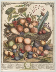 Douze mois de fruits : Juillet, 1732
