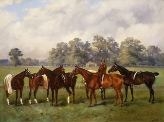 Un groupe de poneys de polo, Dainty, Gold, Redskin, Miss Edge et Piper, propriété de Sir Humphrey de Trafford, Bart, 1895