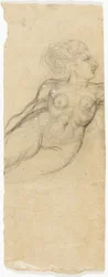 Études de nus