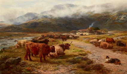 Repos du troupeau des Highlands, Argyllshire