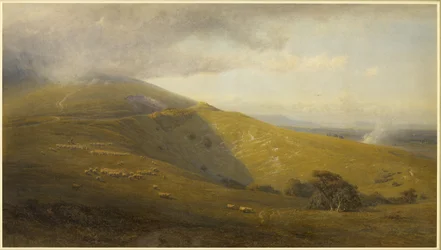 Vue sur les South Downs