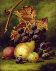 Nature morte