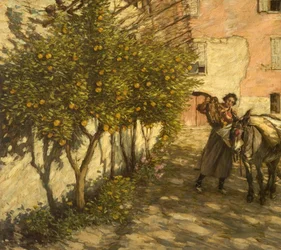 Récolte des oranges