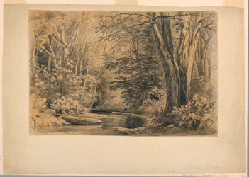 Dessin, Un ruisseau dans les bois, 1854