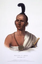 Kai-Pol-E-Quah, renard au nez blanc