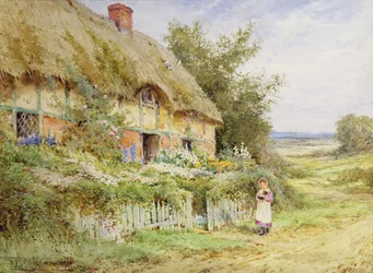 Le lapin de compagnie