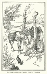 Comment le cheval a sympathisé avec Saint Columba