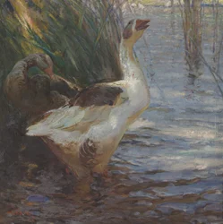 Troublé
