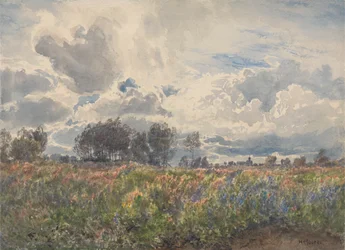 Juin pluvieux, Picardie
