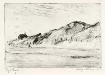 Paysage de dunes avec maison et personne