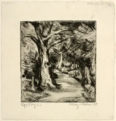 Chemin forestier. Forêt de Riis