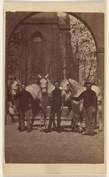 [Trois hommes posant avec trois chevaux blancs].