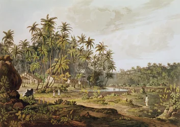 Vue près de Point du Galle, Ceylan, gravée par Daniel Havell (1785-1826) publiée en 1809