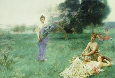 Fleur de Luce