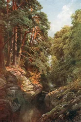 A Wooded Gorge, Killin, Perthshire (lithographie couleur)