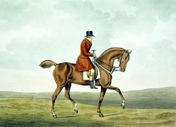 Un Meltonian tel qu