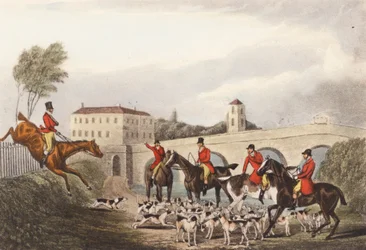 "Bien joué, Neck-or-Nothing ! Tu n