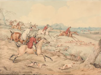 Chasse au renard : À pleine poursuite