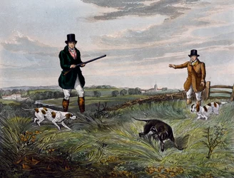 Chasse à la perdrix
