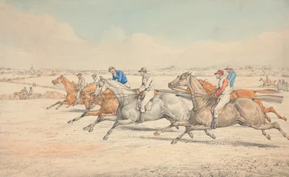 Course de steeple : le départ