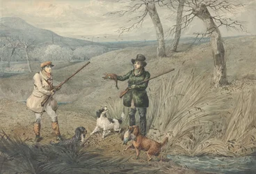 Chasse aux canards sauvages